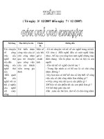 GIAO AN TUAN 3 CHU DE PTGT