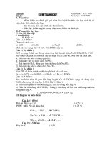 kiem tra hoc ky hoa 8