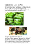 Bài thuyết minh bánh chưng
