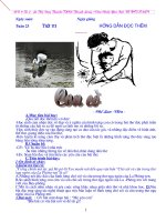 NV9(có ảnh minh hoạ+ô chữ)tuần 23,24 Thanh YB