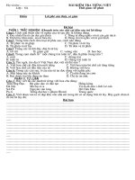 Kiểm tra Tiếng Việt(Văn 6)