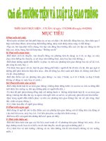 MUC TIEU GIAO THONG(HOAN CHINH)