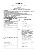 GIÁO ÁN 5 .TUẦN 28 CKTKN