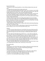 tai lieu de viet van ve tet co truyen Viet Nam (Banh Chung)