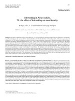 báo cáo khao học  'inbreeding in pinus radiata. iv  the effect of inbreeding on wood density'