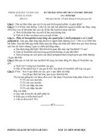 de thi HSG lop 9 2010(2)