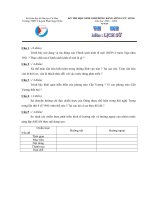 DE VA DAP AN HSG LICH SU (CA MAU-2008-2009).doc