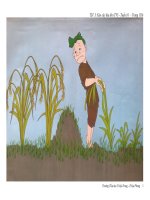 TLV: KÉO CÂY LÚA LÊN