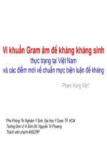 vi khuẩn gram am đề kháng kháng sinh và thực trạng tại việt nam