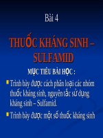 kháng sinh sulfamid