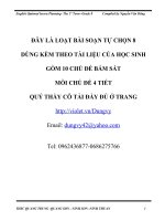 GIAO AN TU CHON 8 HKII (CHU DE 1)