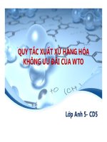 Thuyết trình: Quy tắc xuất xứ hàng hóa không ưu đãi của WTO