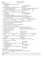 đe+dáp an CN11 (Huy)