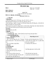 Giáo án Lớp 3-Tuần 24-CKT