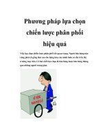 phương pháp lựa chọn chiến lược phân phối hiệu quả