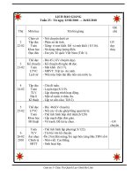 Giáo án 5- Tuần 23( 2009-2010)