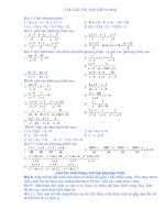 bai on chuong III lop 8(ds)