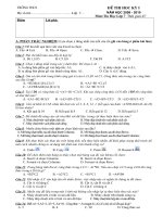 de thi hoc kỳ I môn tin 7