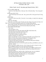 Kế hoạch tháng 11.2009