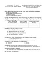 KIỂM TRA CHẤT LƯỢNG HSG LỚP 5- ĐỂ 1