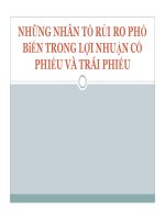 Những nhân tố rủi ro phổ biến trong lợi nhuận cổ phiếu và trái phiếu