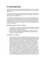 tiếp thị điện tử e-marketing