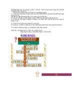 Ô chữ tổng kết trong bài 