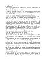 Các loại hình Nghi Lễ Đội