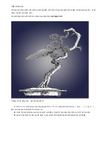 KĨ THUẬT UỐN CÀNH, UỐN CÂY CẢNH