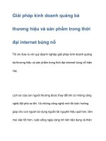 giải pháp kinh doanh quảng bá thương hiệu và sản phẩm trong thời đại internet