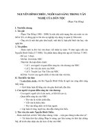 NGUYỄN ĐÌNH CHIỂU- NGÔI SAO SÁNG TRONG VĂN NGHỆ CỦA DÂN TỘC