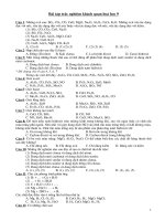 cac cau hoi trac no hoa 9