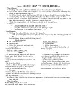 Ôn tập phần tiến hoá s12