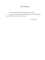 khóa luận sử dụng amikacin