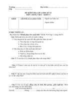 ĐỀ THI KIỂM TRA GIỮA HỌC KỲ II_TIẾNG VIỆT LỚP 4