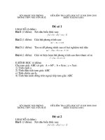 DE TOAN(GIUA HK2.2009-2010)NH