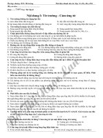 Ôn tập chương từ trường- lop 11NC-2010