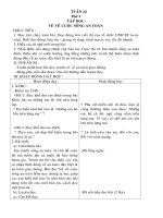 GIÁO ÁN LỚP 4 TUẦN 24 (CKTKN)