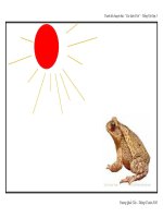 5 TRANH CÓC KIỆN TRỜI