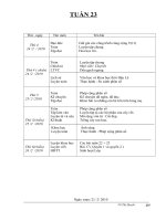 Giáo án lớp 4 - Tuần 23 - CKTKN