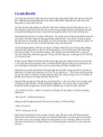 Cú ngã đầu đời (Truyện ngắn)