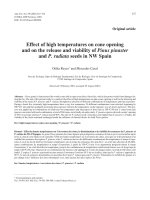 báo cáo khao học  'effect of high temperatures on cone opening and on the release and viability of pinus pinaster and p. radiata seeds in nw spain'