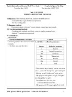 GIAO AN TU CHON 8 HKII (CHU DE 2)