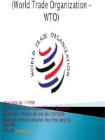 tài liệu tổ chức thương mại thế giới wto