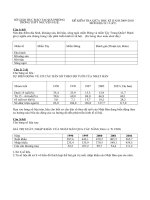 DE DIA LY1(GIUA HK2 2009-2010)NH