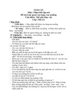 rau lang -rau muông