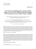 báo cáo khao học  ''''survival after outplanting of the ectomycorrhizal fungus laccaria bicolor s238n inoculated on douglas