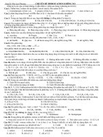 hidrocacbon chua no co dap an