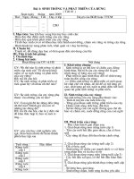 giáo án nghề trồng rừng 12