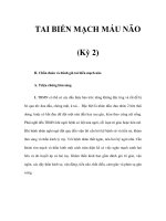 TAI BIẾN MẠCH MÁU NÃO (Kỳ 2) pdf